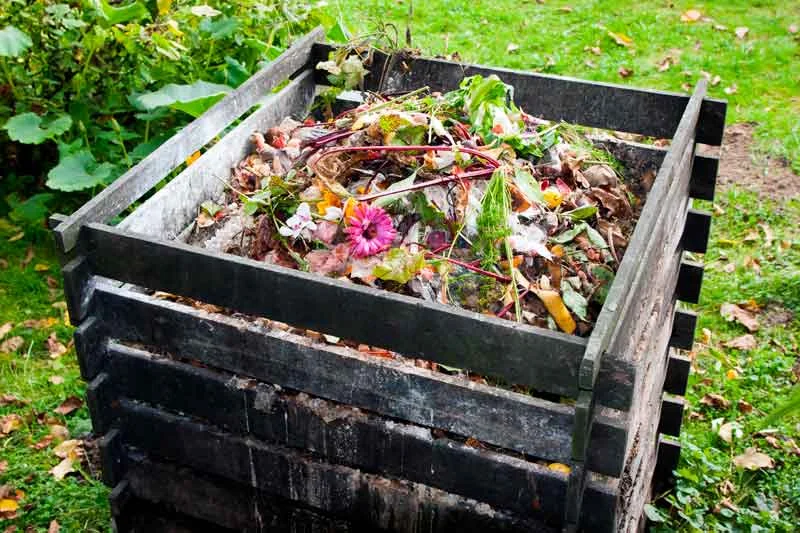 Garden waste removal Dubai - green waste clearance